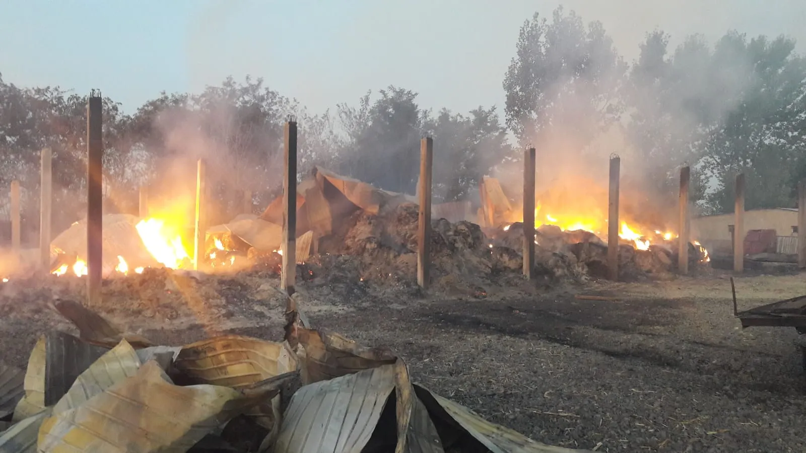 incendiu radu negru (1)