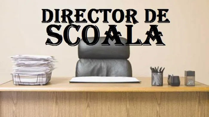 director de scoala