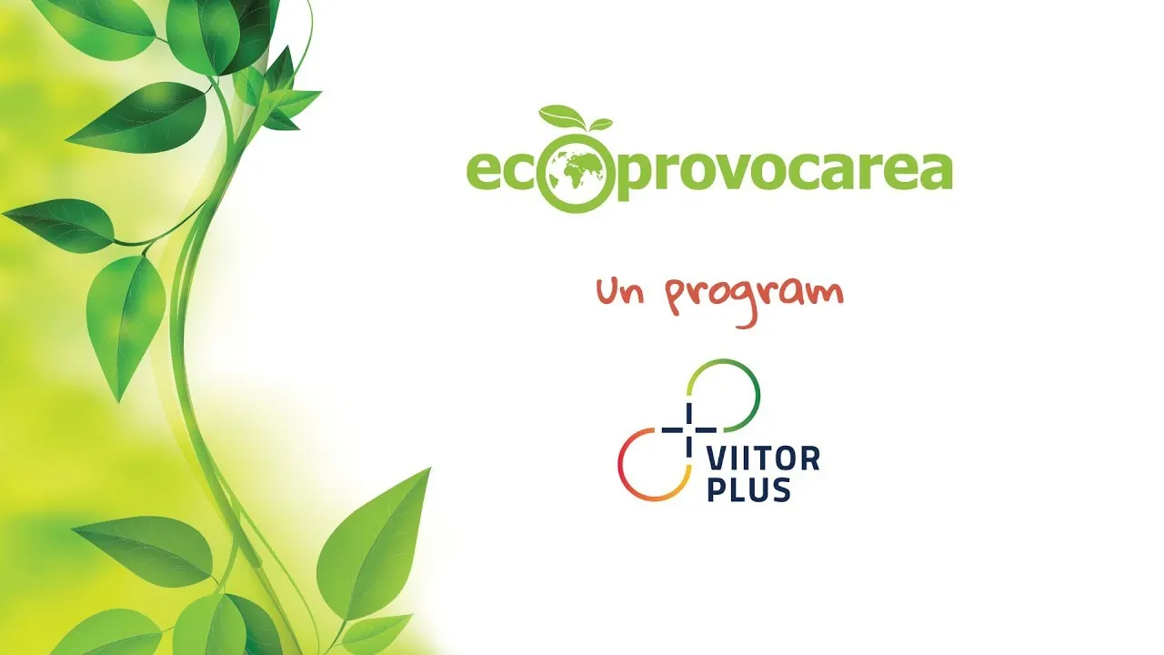 ecOprovocarea