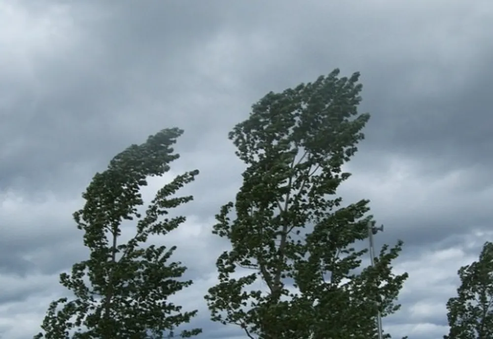 Alertă meteo: Cod galben de VÂNT, temperaturile scad accentuat