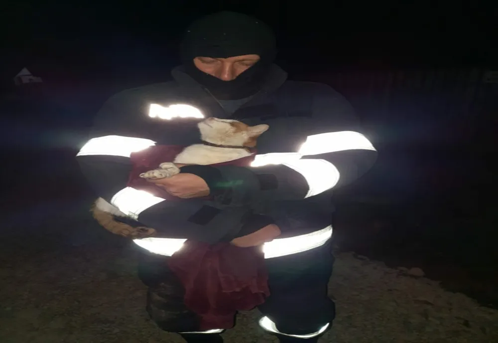 Pisică salvată de pompierii din Călărași dintr-o fântână adâncă de 20 metri