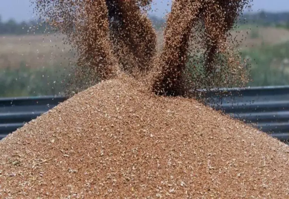 Scandalul cerealelor. România sigilează și monitorizează transporturile de cereale din Ucraina
