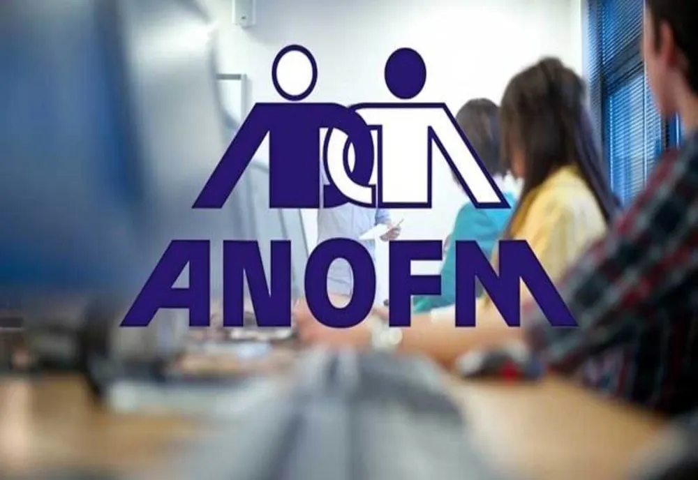 APROXIMATIV 184.000 DE PERSOANE ȘI-AU GĂSIT UN LOC DE MUNCĂ PRIN ANOFM, ÎN 2024