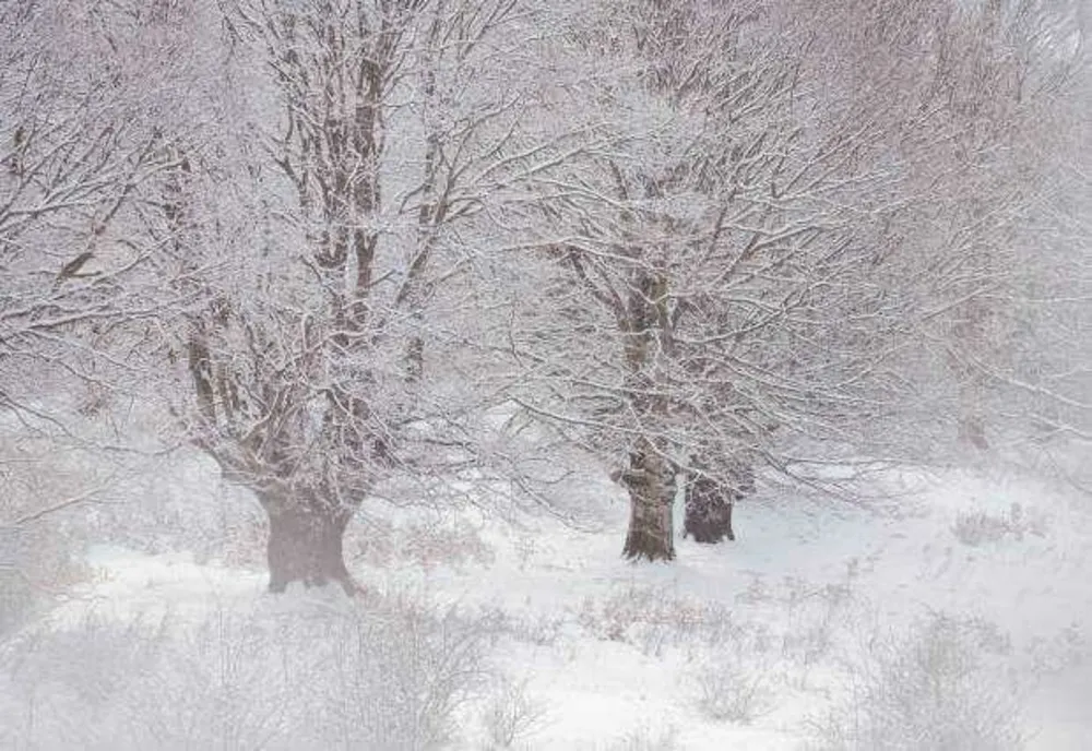 PROGNOZA METEO 6 FEBRUARIE. TEMPERATURILE SCAD BRUSC SPRE PRAGUL ÎNGHEȚULUI