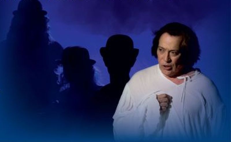 calatoarea si shakespeare