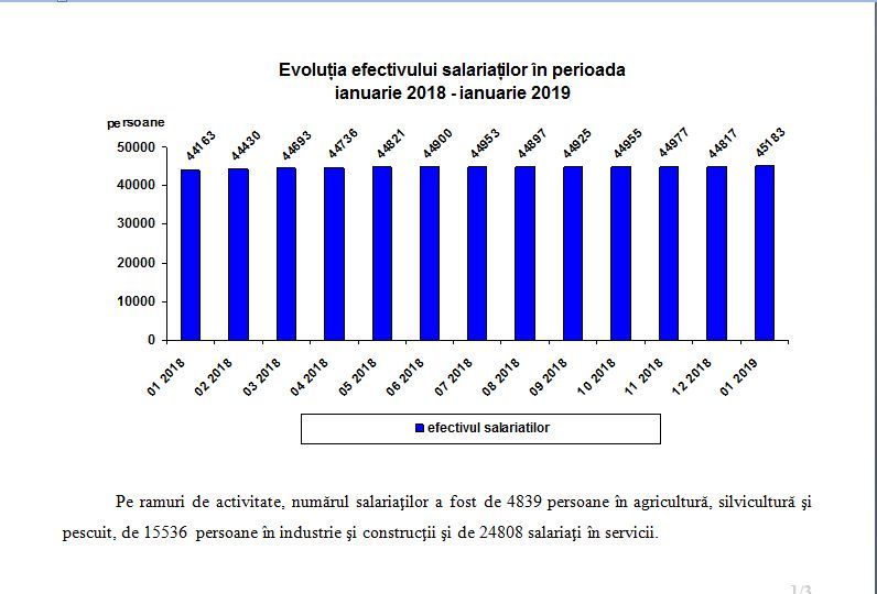 evolutia efectivelor de salariati