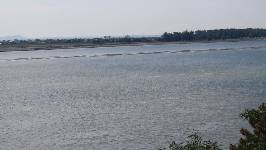 cod portocaliu_debite dunare