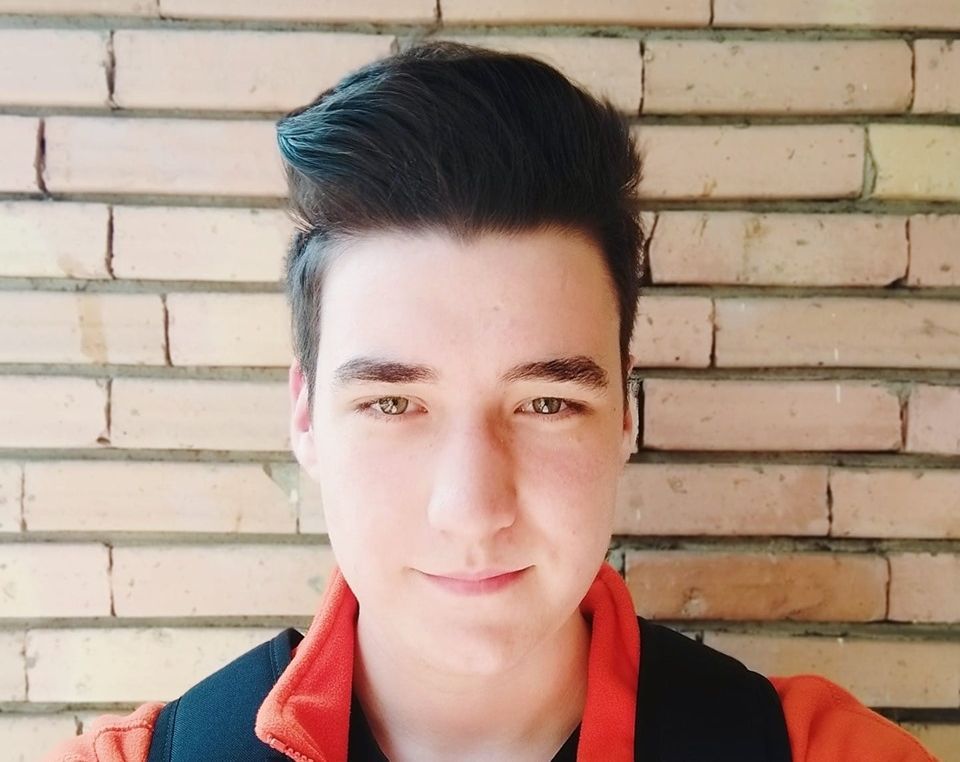 Rezultate BAC Călărași_pavel cristian_media 10