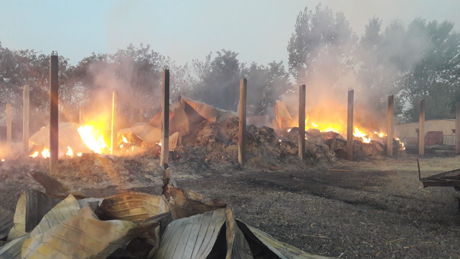 incendiu radu negru (1)