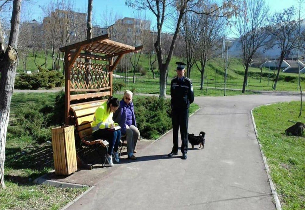 Peste 1.000 de câini fără stăpân au fost capturați de pe domeniul public anul trecut