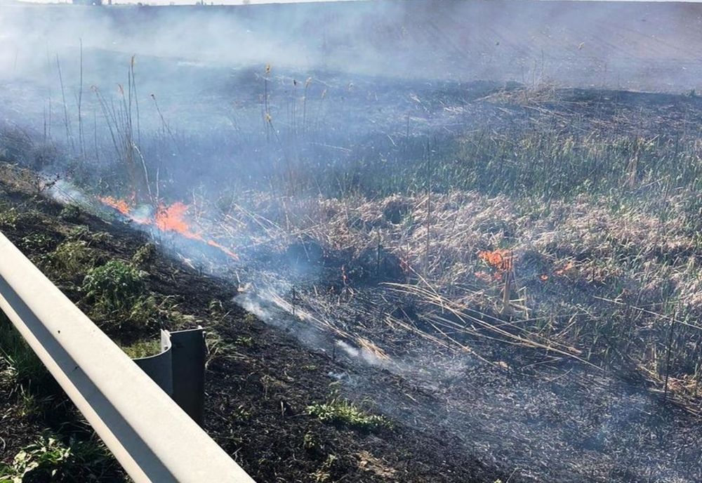 Incendiu de vegetație uscată în comuna Lupşanu, satul Plevna