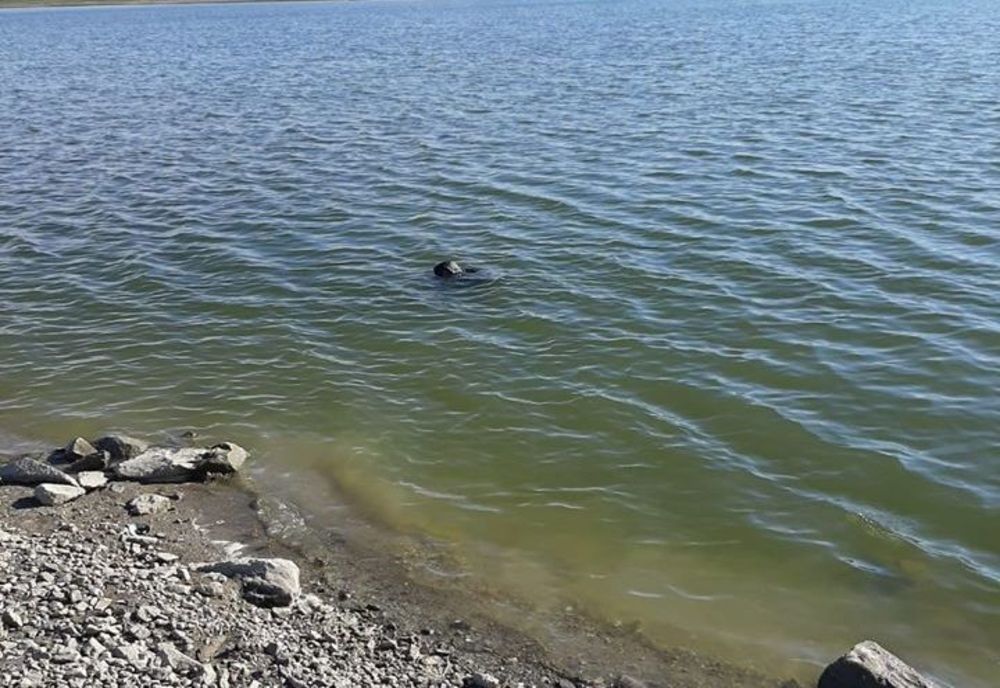 O persoană înecată a fost extrasă din canalul siderurgic de către pompierii călărăşeni