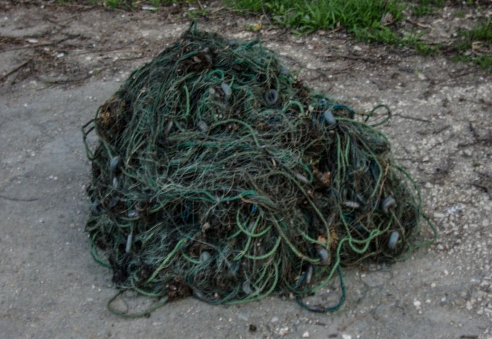 Prinşi la pescuit cu plasă monofilament, s-au ales cu dosare penale