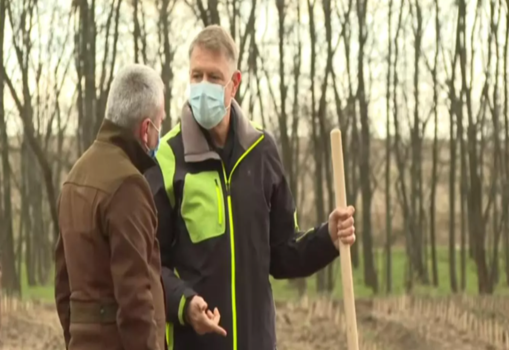 VIDEO Președintele Klaus Iohannis a dat startul campaniei de împădurire în zona deşertificată din sudul României