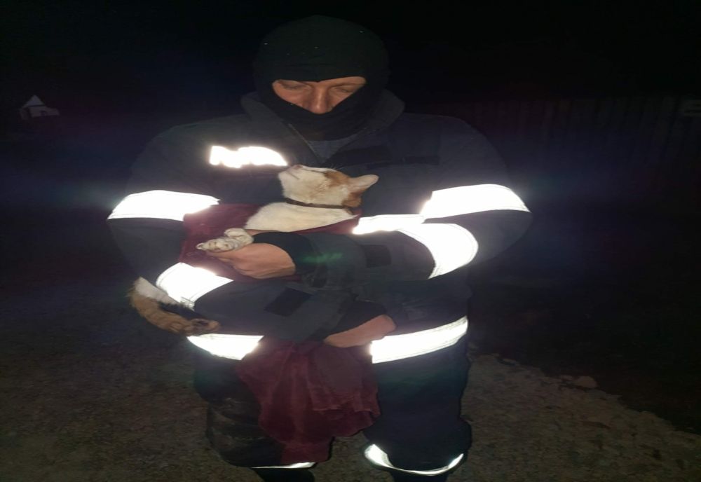 Pisică salvată de pompierii din Călărași dintr-o fântână adâncă de 20 metri
