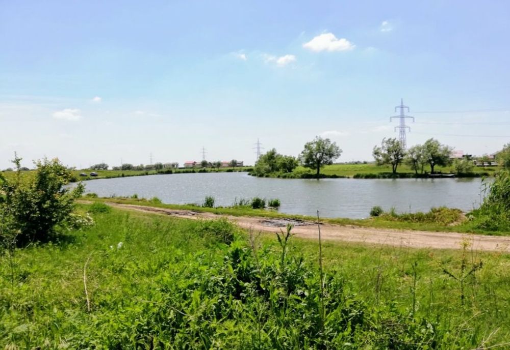 Bărbat din Călărași, găsit fără suflare pe malul lacului Berceni