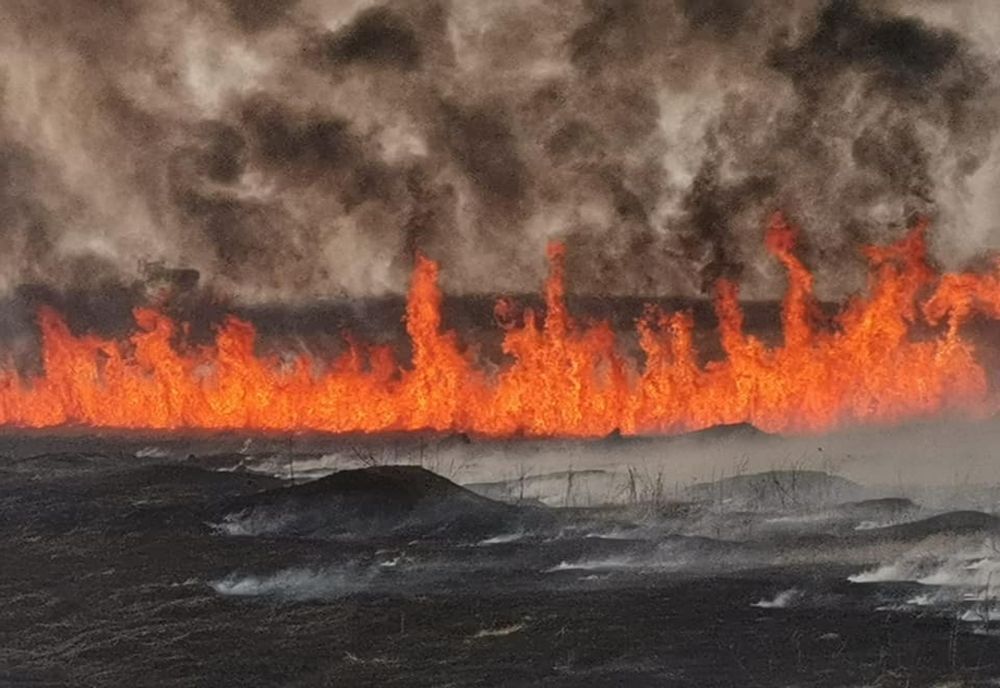 VIDEO Alertă în Călărași! Incendiu violent în zona combinatului siderurgic