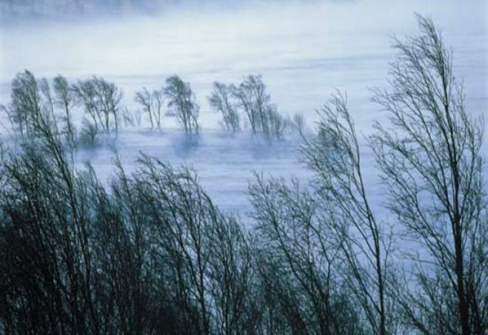Cod Galben de VÂNT în județul Călărași