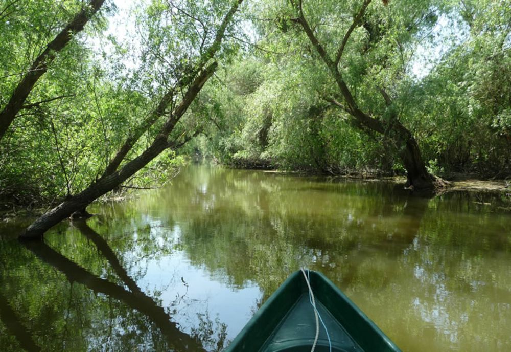 Prohibiție generală în Delta Dunării