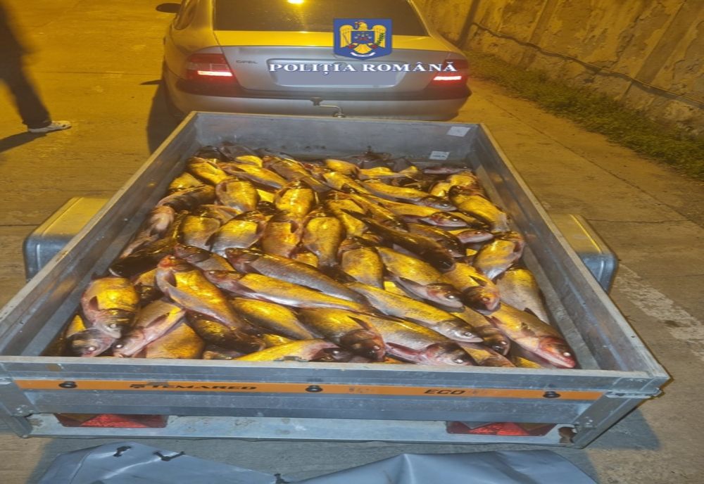 Acțiuni pentru combaterea braconajului piscicol. Amenzi pe bandă rulantă