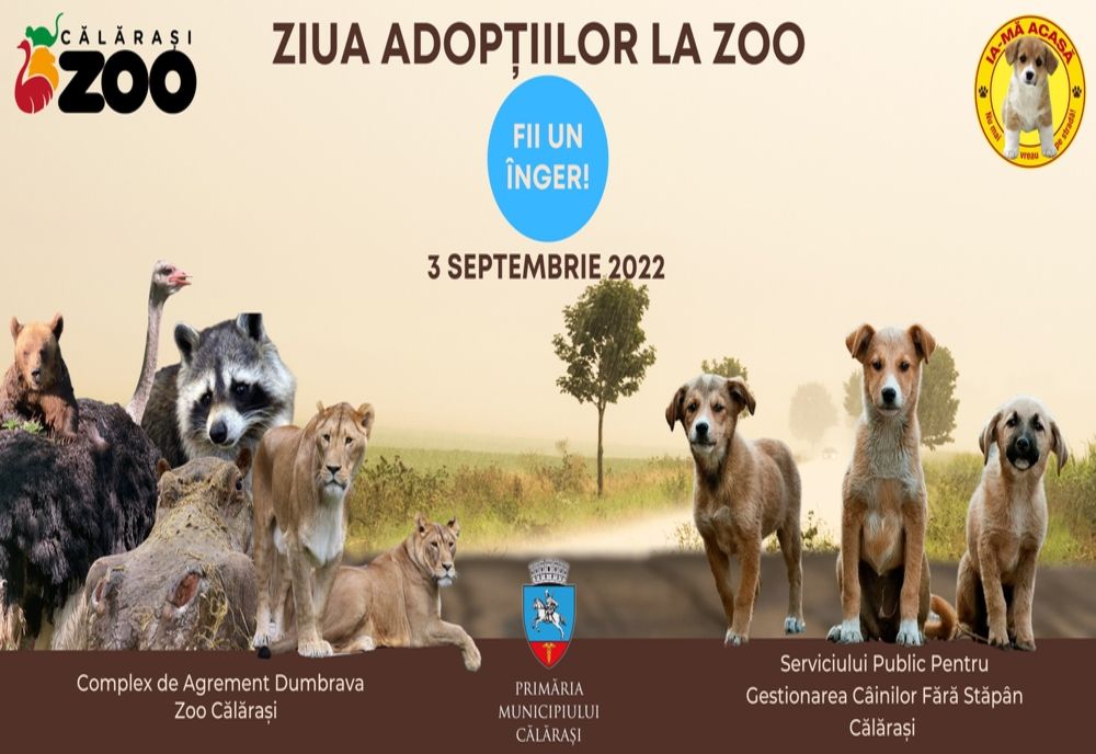 Ziua adopțiilor la ZOO 