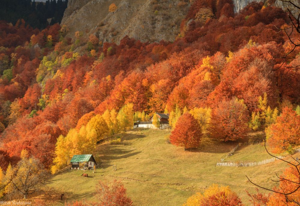 Escapadele la munte și city break-uri în țară, cele mai căutate în această perioadă