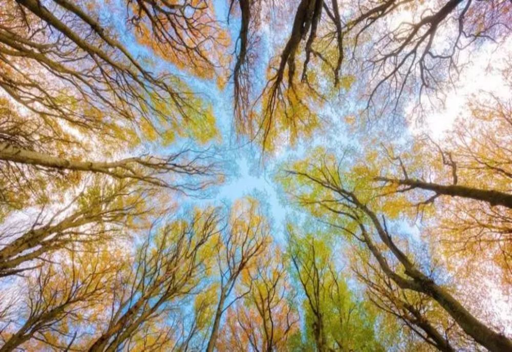 Vremea 2 noiembrie - Temperaturile ajung la 28 de grade - Unde va fi cel mai cald