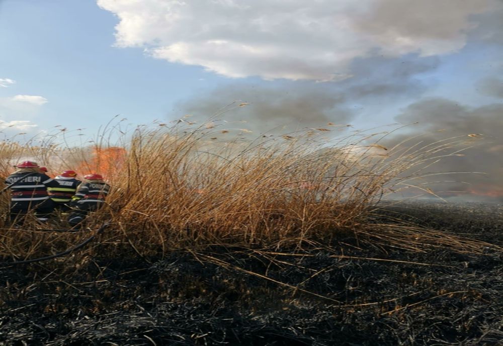 53 de misiuni pentru pompierii călărășeni în weekend