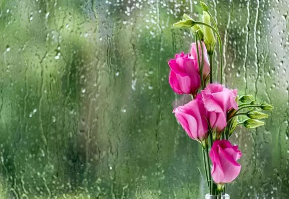 Vremea a luat-o razna. Noi avertismente de la ANM - Cod portocaliu de vijelii, cod galben de caniculă. Care sunt zonele vizate