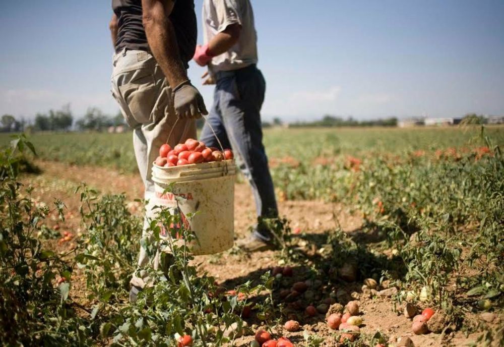 Horațiu Raicu: A.F.I.R. aplică o politică păguboasă în privinţa managementului resurselor umane cu implicaţii negative în implementarea PNS