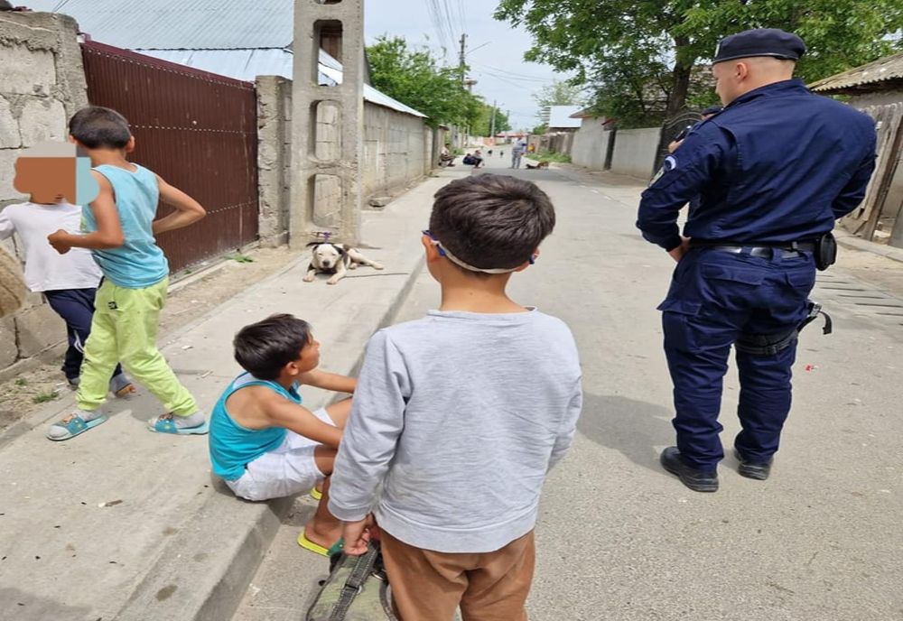 Câine agresiv, prins de jandarmi