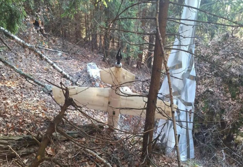 Drona din Argeș și războiul din Ucraina. Ce spune Sindicatul Europol