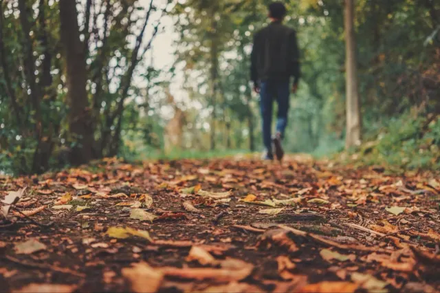 Vremea în România: temperaturi peste normal și ploi abundente în nord-est până pe 2 noiembrie