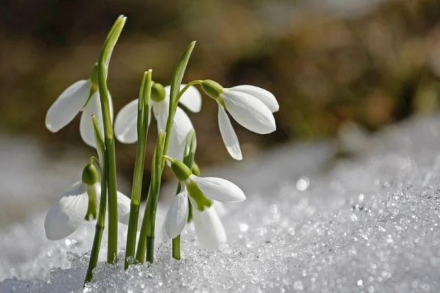 Zile însorite și temperaturi în creștere, mai ales în sud și estul României: cum va fi vremea până la mijlocul săptămânii