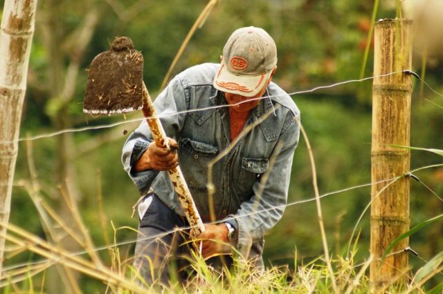 Fermierii români, în pragul disperării. Cer măsuri urgente pentru reducerea costurilor și asigurarea accesului la îngrășăminte, energie și finanțare