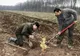 Călărașiul, pe locul 2 ca suprafață ce urmează a fi împădurită de Romsilva