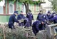 Jandarmii călărăşeni au sărit în sprijinul persoanelor afectate de tornadă