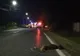 Video | O persoană a decedat și alte 4 au fost rănite în urma unui accident rutier provocat de un câine