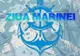 Primăria Călărași organizează Ziua Marinei | Program