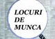 Care sunt locurile de muncă disponibile, în această perioadă, la AJOFM Călărași