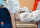 A început vaccinarea la centrul din incinta școlii"Mircea Eliade"Oltenița
