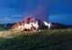 FOTO Incendiu puternic în Ialomița. Pompieri din două județe în luptă cu flăcările
