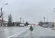 VIDEO Un struţ a ieşit la plimbare, pe străzile din Slobozia