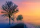 Vremea 14 martie - Temperaturi în creștere - Când vine cu adevărat primăvara