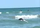 Imagine șocantă în Mamaia: Un delfin plutea mort, printre turiștii care făceau baie în mare