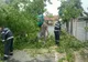Cod roșu de furtuni. Vijeliile au făcut prăpăd în țară -  VIDEO