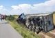 FOTO Alertă  pe Autostrada Soarelui. TIR încărcat cu îngrășământ bio, răsturnat 