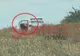 Polițist pensionat ca să nu fie dat afară după ce a fost surprins făcând sex în mașina de serviciu