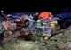 Accident mortal pe DN21. Un mort și doi răniți