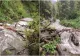 COD ROŞU ŞI COD PORTOCALIU DE INUNDAŢII PENTRU RÂURI DIN JUDEŢELE SUCEAVA ŞI NEAMŢ